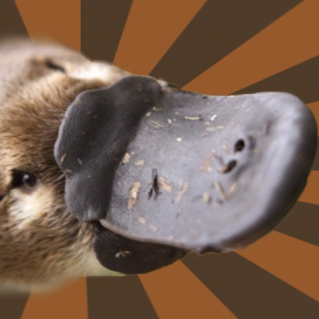 /images/MRplatypus.png /images/MRplatypus.png